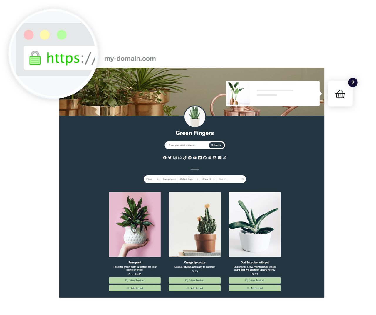 Online store with custom domain name Online store with custom domain name